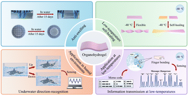 Graphical abstract: A wet-resistant and low-temperature self-healing organohydrogel sensor towards direction-recognition and information transmission in extreme environments