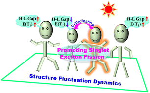 Graphical abstract: Dynamic cooperativity of chromophores in promoting singlet fission in perylenediimide crystals