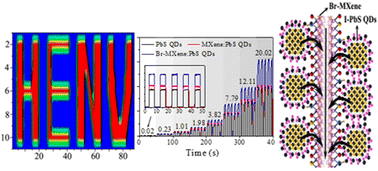 Graphical abstract: A hybrid quantum dot:MXene bulk heterojunction for an efficient infrared self-powered photodetector