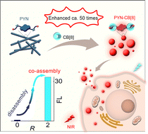 Graphical abstract: Near-infrared fluorescence probes based on disassembly-induced emission pyrene derivatives