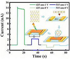 Graphical abstract: A high-performance self-powered photodetector based on SnP2S6 in the visible light region