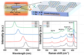 Graphical abstract: Synthesis of millimeter-sized MoxW(1−x) S2ySe2(1−y)monolayer alloys with adjustable optical and electrical properties and their magnetic doping
