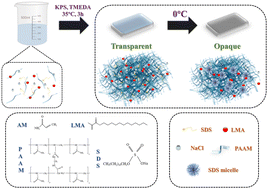 Graphical abstract: Thermochromic and conductive hydrogels with tunable temperature sensitivity for dual sensing of temperature and human motion