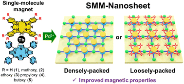 Graphical abstract: Two-dimensional metal–organic nanosheets composed of single-molecule magnets: structural modulation and enhanced magnetism utilizing the steric hindrance effect