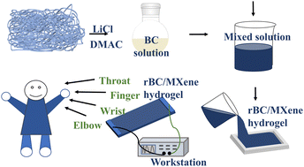 Graphical abstract: A flexible piezoresistive strain sensor based on MXene/bacterial cellulose hydrogel with high mechanical strength for real-time monitoring of human motions