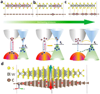 Graphical abstract: High carrier mobility and strong electron–phonon coupling in graphene–WS2 heterobilayers under pressure