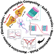 Graphical abstract: Unlocking the resistive switching in Acacia Senegal-based electrolyte for neuromorphic computation