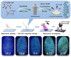 Graphical abstract: Simple synthesis of carbon dots/organosilicon composites with tunable solid-state emission and size for accurate latent fingerprint identification