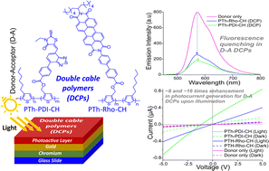 Graphical abstract: All organic double cable polymers of a polythiophene donor with rhodanine and perylene diimide acceptors and evaluation of photocurrent generation