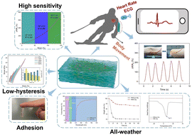 Graphical abstract: A robust conductive organohydrogel with adhesive and low-hysteresis properties for all-weather human motion and wireless electrocardiogram sensing