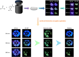 Graphical abstract: Water stimulus-responsive room temperature afterglow materials with color tunability based on inorganic/organic H–G hybrid systems