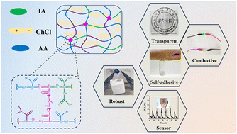 Graphical abstract: Itaconic acid-enhanced robust ionic conductive elastomers for strain/pressure sensors