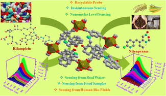 Graphical abstract: Design of functionalized luminescent MOF sensor for the precise monitoring of tuberculosis drug and neonicotinoid pesticide from human body-fluids and food samples to protect health and environment