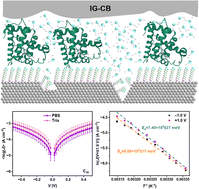 Graphical abstract: Conductive ionogel for the study of charge transport through SAM-based junctions in aqueous solution