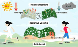 Graphical abstract: A hierarchical metafabric with dynamically thermochromic property for subambient daytime radiative cooling