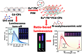 Graphical abstract: Eu3+/Tb3+-modified Cd(ii) coordination polymers for effective detection of uric acid and lung cancer biomarker N-acetylneuraminic acid