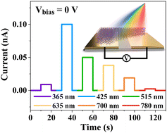 Graphical abstract: A broadband self-powered photodetector based on NiPS3