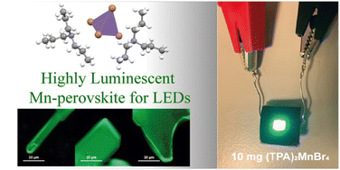 Graphical abstract: A new eco-friendly and highly emitting Mn-based hybrid perovskite toward high-performance green down-converted LEDs