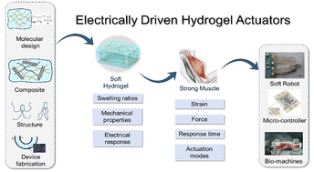 Graphical abstract: Electrically driven hydrogel actuators: working principle, material design and applications