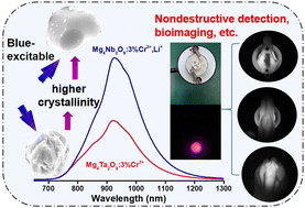 Graphical abstract: Broadband short-wave infrared Mg4Nb2O9:Cr3+,Li+ phosphor for nondestructive safety detection and biomedical imaging