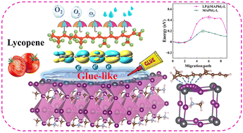 Graphical abstract: Glue-like passivation by the natural alkene lycopene for efficient and stable perovskite solar cells: insights from a theoretical perspective