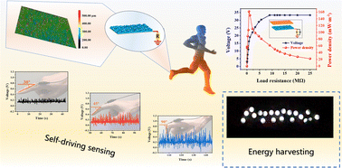 Graphical abstract: Enhancing PDMS-based triboelectric nanogenerator output by optimizing the microstructure and dielectric constant