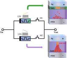 Graphical abstract: LTP–LTD transformation of unipolar pulse voltage-driven zinc oxide memristors via TiO2 thin layer incorporation