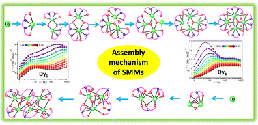 Graphical abstract: Structure and assembly studies of two planar Dy(iii) single molecule magnets with double relaxations