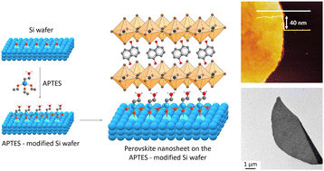 Graphical abstract: Surface-assisted synthesis of perovskite nanosheets with bivalent aromatic cations