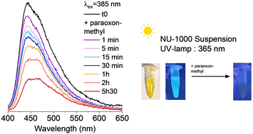Graphical abstract: Pesticide luminescent detection and degradation using NU-1000 MOF