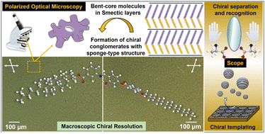 Graphical abstract: Mesomorphic and dielectric properties of strategically designed chiral bent-core liquid crystals displaying wide temperature range dark conglomerate phase