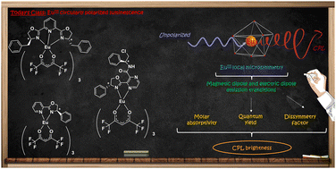 Graphical abstract: Towards opto-structural parameters to enhance the circularly polarized luminescence brightness of EuIII β-diketone complexes with chiral auxiliary ligands