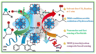 Graphical abstract: A superhydrophobic MOF facilitating efficient solvent-free catalytic chemical fixation of CO2 and oxidation of hydrocarbons and MOF@cotton@starch composite-based selective sensing of a herbicide