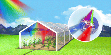 Graphical abstract: Novel dual spectral conversion via Eu2+, Cu+-coactivated core–shell-structured CaS@CaZnOS phosphors for efficient photosynthesis of plants