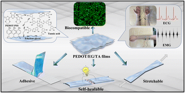 Graphical abstract: Conducting polymer films and bioelectrodes combining high adhesion and electro-mechanical self-healing