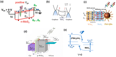 Graphical abstract: Progress in photodetector devices utilizing transition metal dichalcogenides