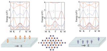 Graphical abstract: Controllable dual-polarization valley physics in the strain-engineered 2D monolayer of VC2N4