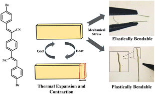 Graphical abstract: Elasto-plastic behaviour with reversible thermosalient expansion in acrylonitrile-based organic crystals