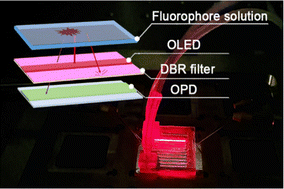 Graphical abstract: On-chip organic optoelectronic system for fluorescence detection