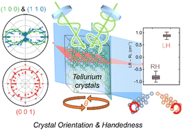 Graphical abstract: Lattice dynamics in chiral tellurium by linear and circularly polarized Raman spectroscopy: crystal orientation and handedness