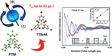 Graphical abstract: Potential molecular qubits with long coherence time constructed using bromo-substituted trityl radicals