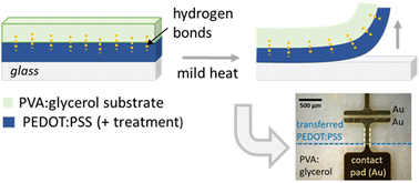 Graphical abstract: Transfer-printing of patterned PEDOT:PSS structures for bendable, stretchable and biodegradable electronics