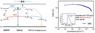 Graphical abstract: High-efficiency and low-efficiency roll-off fluorescence/phosphorescence hybrid white organic light-emitting diodes based on AIEgens with hot exciton property by strategically managing triplet excitons