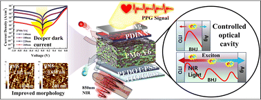 Graphical abstract: Efficient noise suppression via controlling the optical cavity in near-infrared organic photoplethysmography sensors