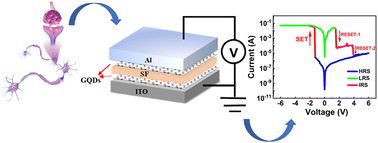 Graphical abstract: Silk fibroin/graphene quantum dots composite memristor with multi-level resistive switching for synaptic emulators