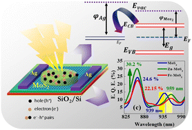 Graphical abstract: Modulating Fermi energy in few-layer MoS2via metal passivation with enhanced detectivity for near IR photodetector