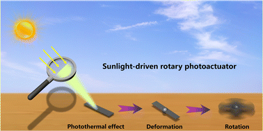 Graphical abstract: Light-driven rotary polypyrrole/agar composite films