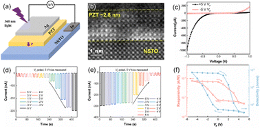 Graphical abstract: Ferroelectrically modulated and enhanced photoresponse of a Ag/PZT/NSTO self-powered photodetector in the ultraviolet range