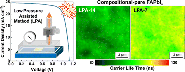 Graphical abstract: Efficient additive-free FAPbI3 perovskite solar cells achieved by promoting homogeneity