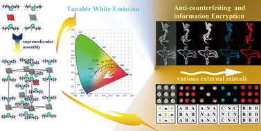 Graphical abstract: A universal supramolecular assembly strategy for achieving efficient tunable white emission and anti-counterfeiting in antimony doped tin(iv)-based vacancy-ordered double perovskites